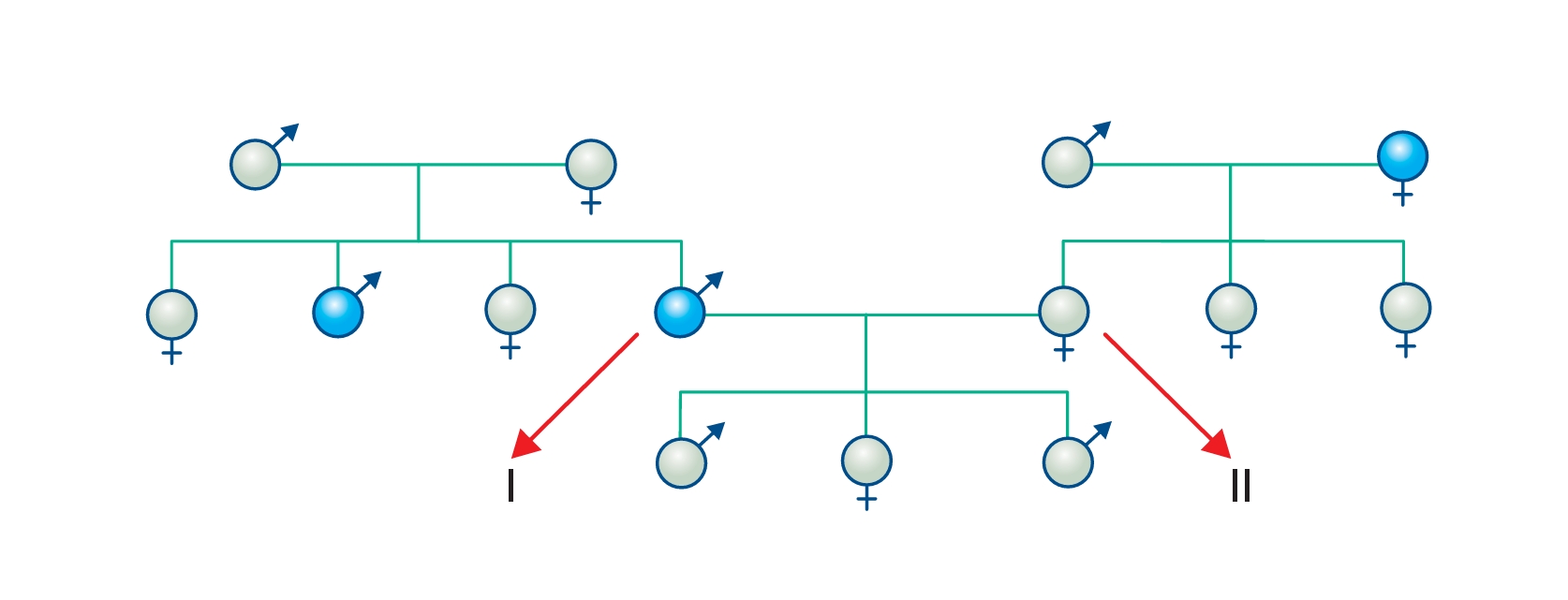 Captura de tela_9-10-2025_101610_.jpeg